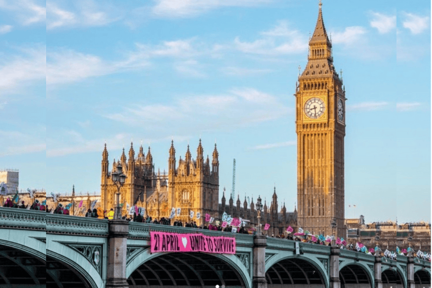 img-6421810e7ec3b663846ff8ee